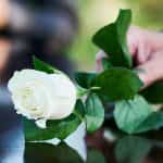 servicio funerario de seguro decesos